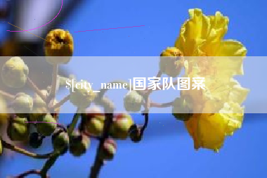 丹东国家队图案