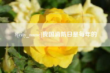 丹东我国消防日是每年的