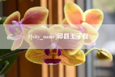 丹东邱县王子磊
