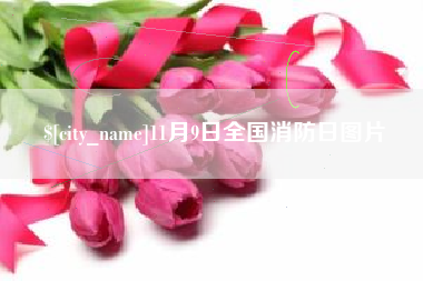 丹东11月9日全国消防日图片
