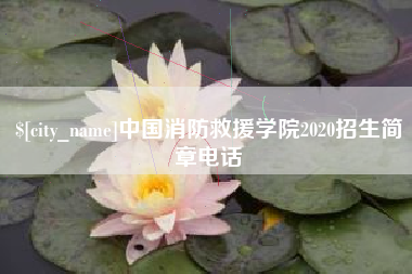 丹东中国消防救援学院2020招生简章电话