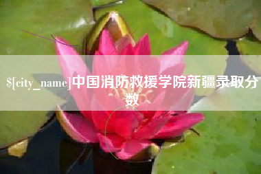 丹东中国消防救援学院新疆录取分数