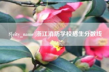 丹东浙江消防学校招生分数线