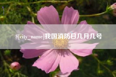 丹东我国消防日几月几号