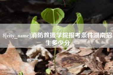 丹东消防救援学院报考条件湖南招生多少分