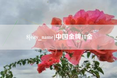 丹东中国金牌18金