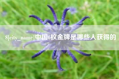 丹东中国6枚金牌是哪些人获得的