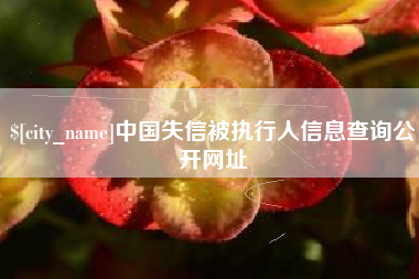 丹东中国失信被执行人信息查询公开网址