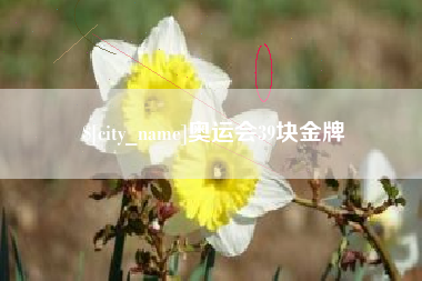 丹东奥运会39块金牌