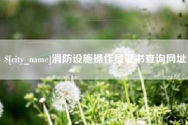 丹东消防设施操作员证书查询网址