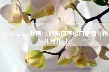 丹东我国119消防日宣传日是每年的几月几日