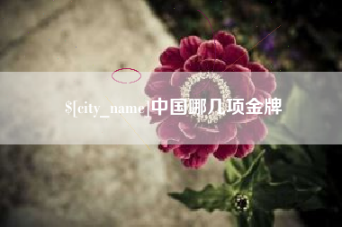 丹东中国哪几项金牌