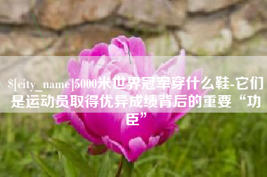 丹东5000米世界冠军穿什么鞋-它们是运动员取得优异成绩背后的重要“功臣”
