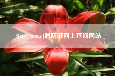 丹东消防证网上查询网站