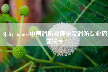 丹东中国消防救援学院消防专业招生简章