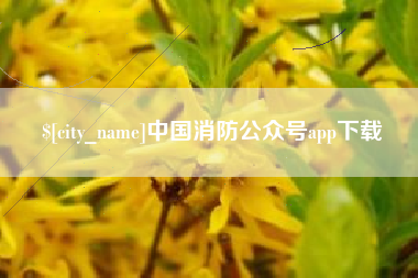 丹东中国消防公众号app下载