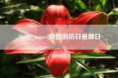 丹东我国消防日是哪日