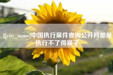 丹东中国执行案件查询公开网都是执行不了得案子