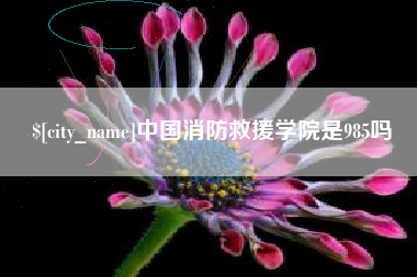 丹东中国消防救援学院是985吗