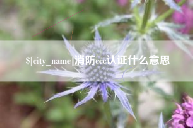 丹东消防ccc认证什么意思