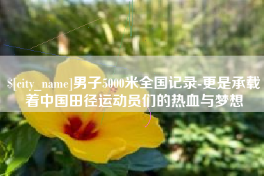 丹东男子5000米全国记录-更是承载着中国田径运动员们的热血与梦想