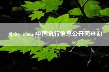 丹东中国执行信息公开网查询