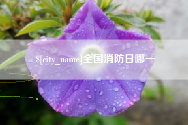 丹东全国消防日哪一