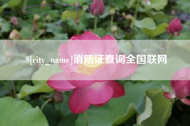丹东消防证查询全国联网