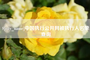 丹东中国执行公开网被执行人名单查询