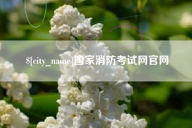 丹东国家消防考试网官网