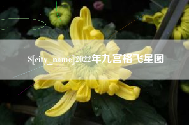 丹东2022年九宫格飞星图