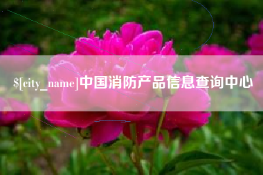 丹东中国消防产品信息查询中心