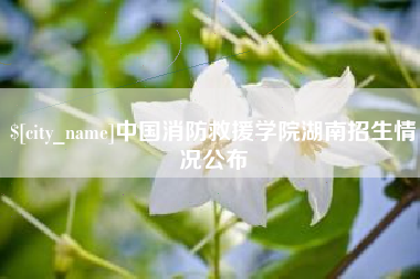 丹东中国消防救援学院湖南招生情况公布