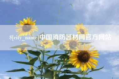 丹东中国消防器材网官方网站