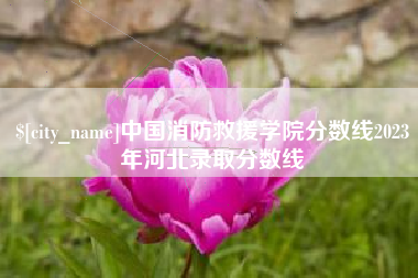 丹东中国消防救援学院分数线2023年河北录取分数线
