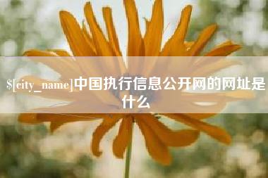 丹东中国执行信息公开网的网址是什么