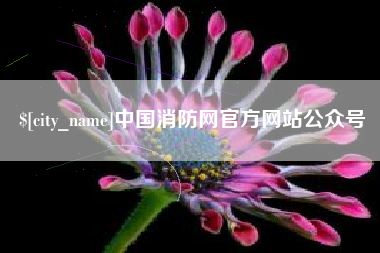 丹东中国消防网官方网站公众号
