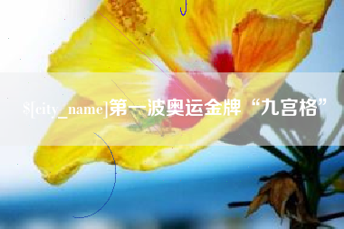 丹东第一波奥运金牌“九宫格”