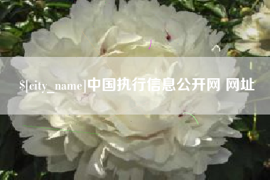 丹东中国执行信息公开网 网址