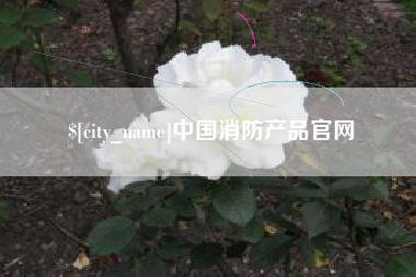 丹东中国消防产品官网