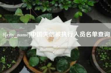 丹东中国失信被执行人员名单查询