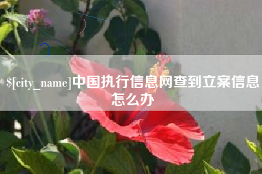 丹东中国执行信息网查到立案信息怎么办