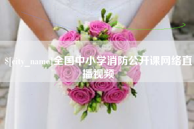 丹东全国中小学消防公开课网络直播视频