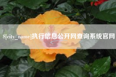 丹东执行信息公开网查询系统官网