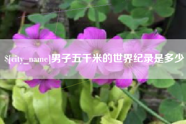 丹东男子五千米的世界纪录是多少