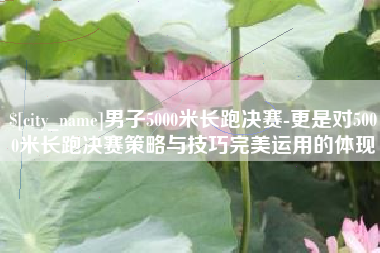 丹东男子5000米长跑决赛-更是对5000米长跑决赛策略与技巧完美运用的体现