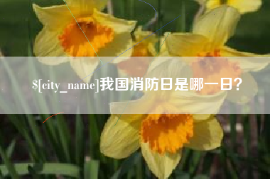 丹东我国消防日是哪一日？