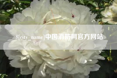 丹东中国消防网官方网站