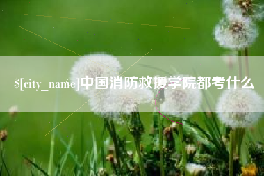 丹东中国消防救援学院都考什么
