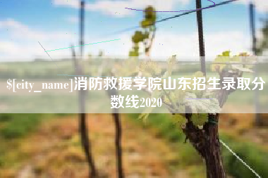 丹东消防救援学院山东招生录取分数线2020